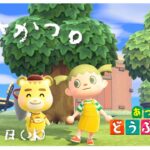 【あつ森】まったり朝活！ゼロからはじめる無人島生活【あつまれどうぶつの森】