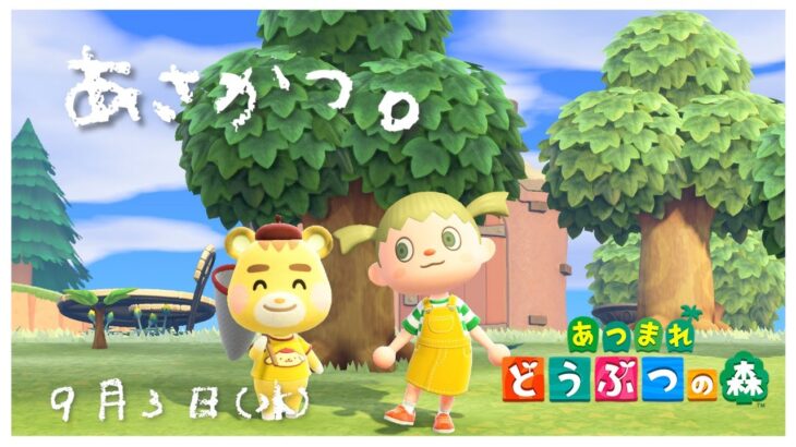 【あつ森】まったり朝活！ゼロからはじめる無人島生活【あつまれどうぶつの森】