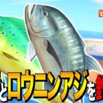 【あつ森】最も釣れやすい条件はこれ！シイラとロウニンアジを釣る方法【あつまれ どうぶつの森】