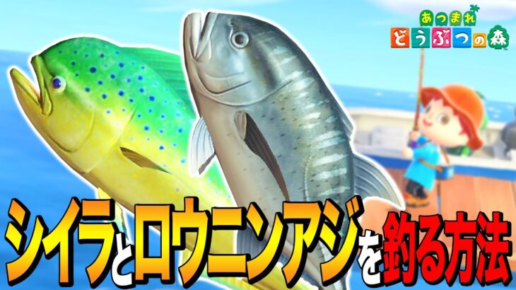 【あつ森】最も釣れやすい条件はこれ！シイラとロウニンアジを釣る方法【あつまれ どうぶつの森】