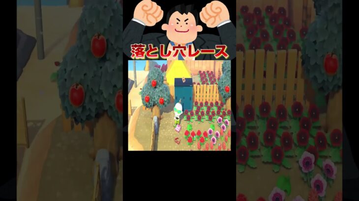 カーニバル大量落とし穴デスレース💥#あつ森 #落とし穴レース