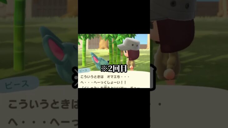あつ森やるとこうなる②　【ネタ】
