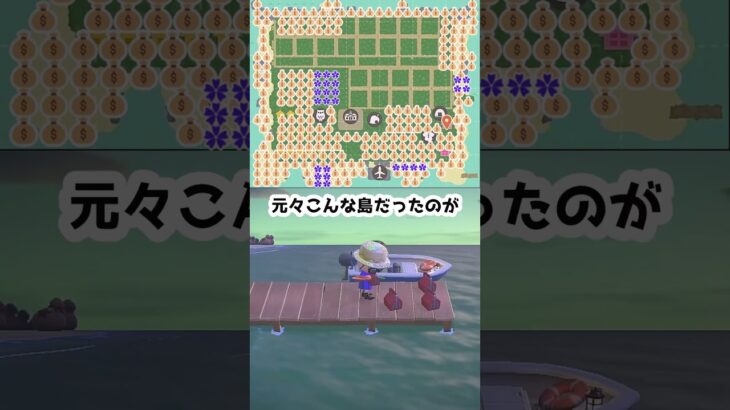 【あつ森】≪カブで１億④≫　おさつのやまが８ヶ月かかったから          　　　　　　　　　　　          #あつまれどうぶつの森  #ゆっくり実況