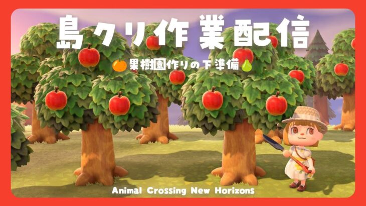 〖あつ森〗果樹園づくり下準備編🍎島クリ作業配信〖あつまれどうぶつの森〗