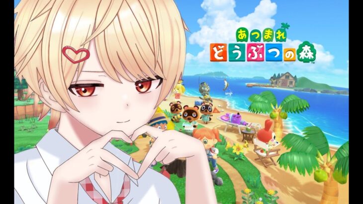 【あつ森】マイホームを完成させたい！！！