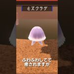 【あつ森】海の幸図鑑│ミズクラゲ🪼