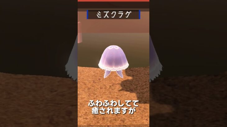 【あつ森】海の幸図鑑│ミズクラゲ🪼