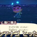 【あつ森】チンアナゴ とったよ！ ツアーにお出かけ@たーさんの趣味の部屋  #たーさん海に潜る