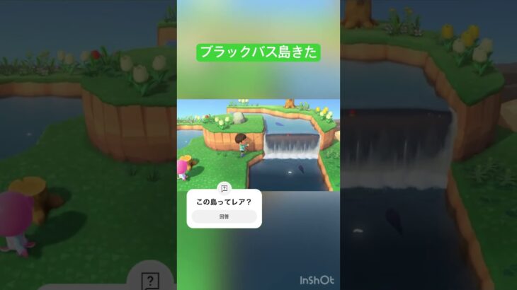 めっちゃブラックバスが取れる島きた笑笑#あつ森 #レア