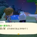 【あつ森】寝る前に久しぶりに少し遊ぶ♪
