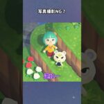 【あつ森】ジュン君にファンサしてもらいました #あつ森  #あつまれどうぶつの森  #女性ゲーム実況