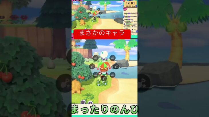 【あつ森配信切り抜き】厳選中まさかの遭遇 #ゲーム実況 #あつ森 #実況 #あつまれどうぶつの森