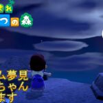 【あつまれどうぶつの森/あつ森】やはりランダム夢見でペチカちゃんに会いたい🐇【生配信】