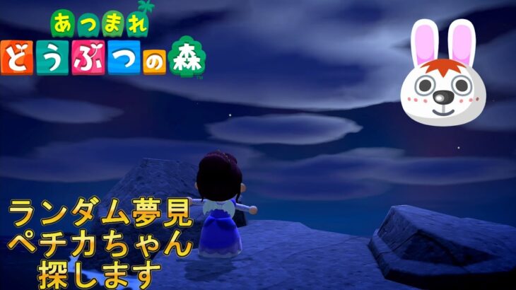 【あつまれどうぶつの森/あつ森】やはりランダム夢見でペチカちゃんに会いたい🐇【生配信】