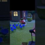 【あつ森】ちゃちゃまるに見とれて蚊に刺さました   #あつ森 #あつ森ちゃちゃまる  #あつ森vlog