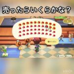 売ったらいくらかな？　#vlog #あつ森 #あつまれどうぶつの森 #こはくちゃんねる2424 #animalcrossing #asmr #acnh #shorts