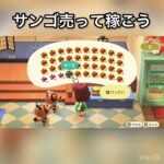 サンゴ売ってお金を稼ぐ　#vlog #あつ森 #あつまれどうぶつの森 #こはくちゃんねる2424 #animalcrossing #asmr #acnh #shorts