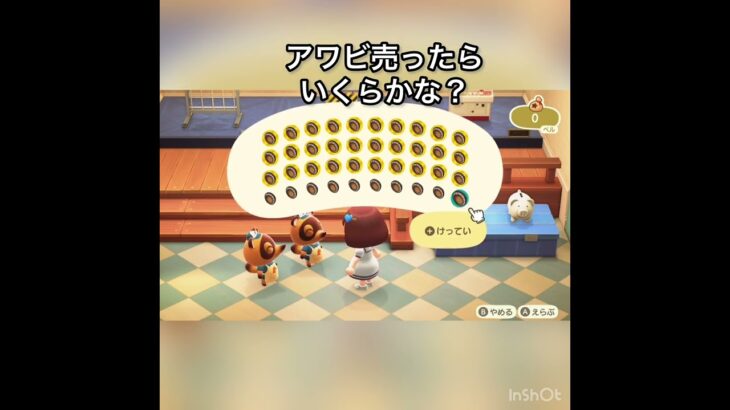 アワビ売ってお金を稼ぐ　#vlog #あつ森 #あつまれどうぶつの森 #こはくちゃんねる2424 #animalcrossing #asmr #acnh #shorts