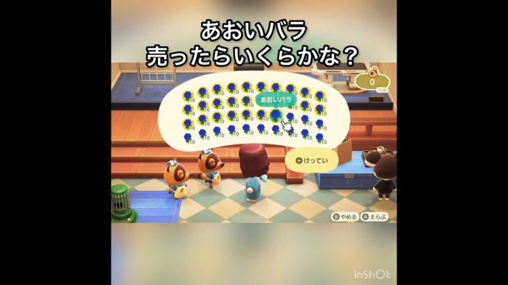 あおいバラ売ったらいくらかな？　#vlog #あつ森 #あつまれどうぶつの森 #こはくちゃんねる2424 #animalcrossing #asmr #acnh #shorts