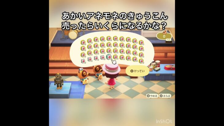あかいアネモネのきゅうこん売ったらいくらかな？　#vlog #あつ森 #あつまれどうぶつの森 #こはくちゃんねる2424 #animalcrossing #asmr #acnh #shorts