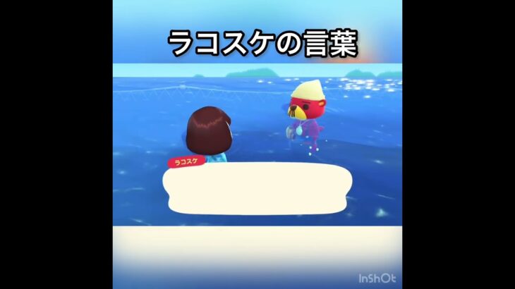 今日のラコスケの言葉　#vlog #あつ森 #あつまれどうぶつの森 #animalcrossing #acnh