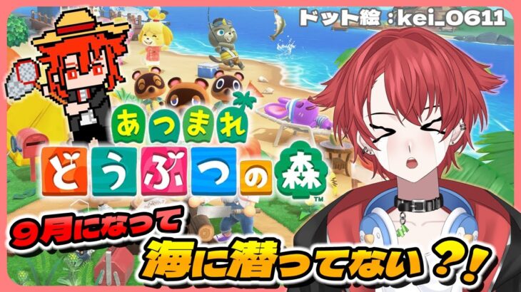 【あつ森】９月になって海に潜ってない⁈ #あつまれどうぶつの森  #vtuber #初見さん大歓迎