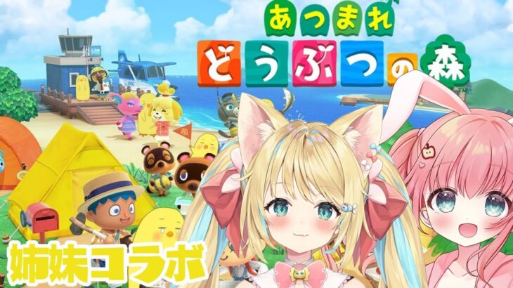 【ガチ姉妹】あつ森であばれまくる！！#vtuber #初見さん大歓迎