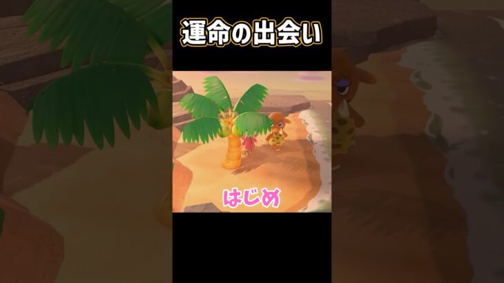 運命的すぎる出会い…！ #あつ森 #vtuber #切り抜き