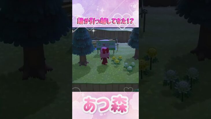 【あつ森🍎】なんと‼️あの子が引っ越してきた‼️✨#あつ森#新人vtuber