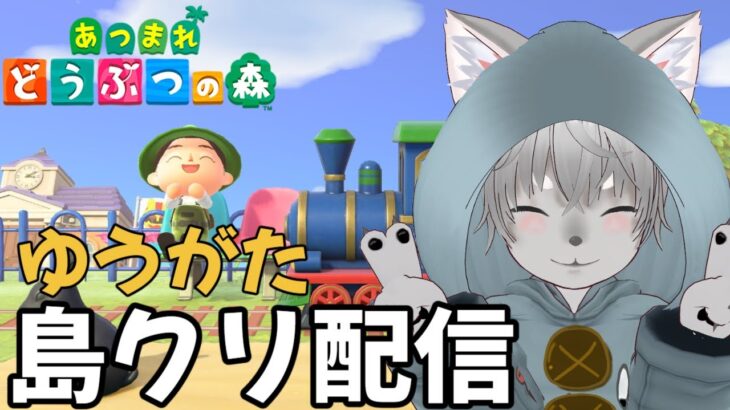【あつまれどうぶつの森】ケンさんの家決めてないじゃん　～自分の島をレトロ遊園地にしたい～【雑談】#あつ森 #島クリエイト  #ゲーム実況 #vtuber