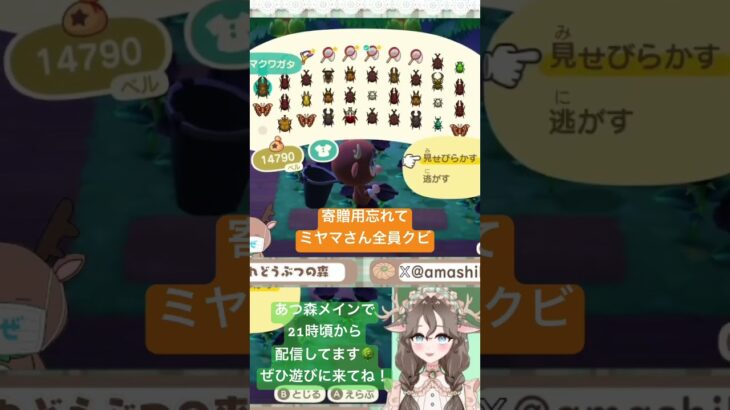 本日のやらかし🤯 #あつ森 #あつまれどうぶつの森 #vtuber #切り抜き #虫取り #ゲーム実況 #switch2