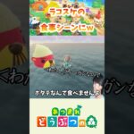 【あつ森】ラコスケの食事シーン初めて見たw #shorts #あつ森 #あつまれどうぶつの森 #ちぬゲームズ #nintendoswitch #ゲーム実況 #切り抜き