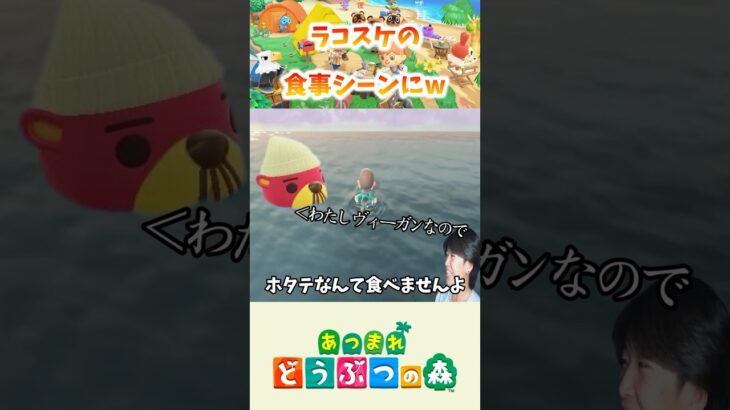 【あつ森】ラコスケの食事シーン初めて見たw #shorts #あつ森 #あつまれどうぶつの森 #ちぬゲームズ #nintendoswitch #ゲーム実況 #切り抜き
