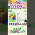 【あつ森】好きな橋を選ばせたらとんでもない事言い出したw #shorts #あつ森 #あつまれどうぶつの森 #ちぬゲームズ #nintendoswitch #ゲーム実況 #切り抜き