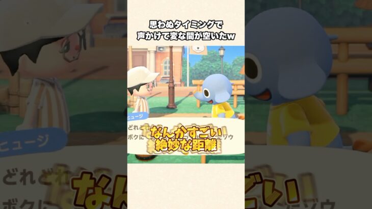 【あつ森】爆笑🤣話しかけるタイミングをミスった結果、距離感がバグったw【あつまれどうぶつの森】#shorts #あつ森