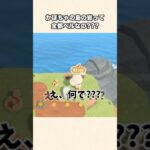 【あつ森】え！？ベル島じゃ無いのにベルが出まくる事件w【あつまれどうぶつの森】#shorts #あつ森