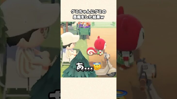 【あつ森】グミちゃんにグミの愚痴をしたら悲しい結末にw【あつまれどうぶつの森】#shorts #あつ森