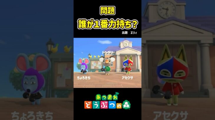 誰が1番力持ち？【あつ森】