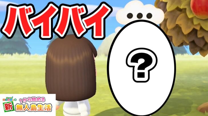 【あつ森】島から1年ぶりに卒業者が出ました #81【あつまれどうぶつの森】