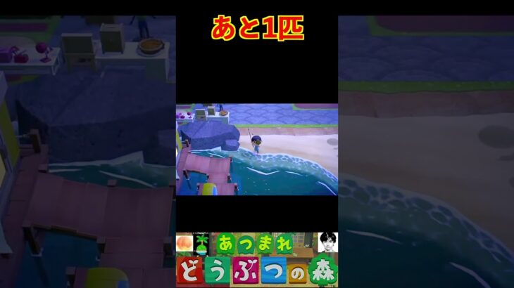 あと1匹 #あつまれどうぶつの森 #shorts #あつ森