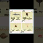 #あつまれどうぶつの森 #あつ森 #10月の魚#小ネタ #小ネタ集 #小技 #ゲーム #ゲーム実況 #switch #チャンネル登録と高評価お願いします