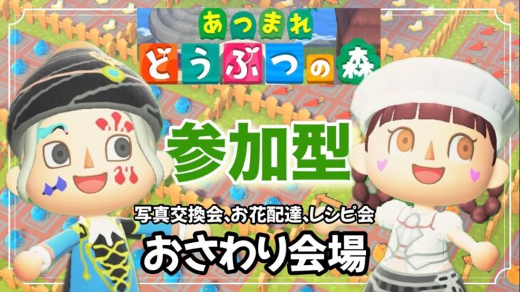 #109 【あつ森】ジムノエ島のおさわり会！