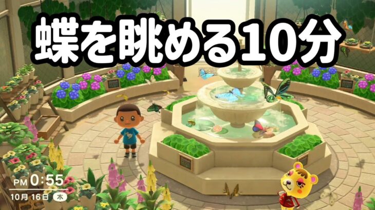 あつ森で蝶を眺める10分【Animal Crossing】