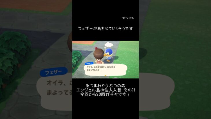 【あつ森】エンジェル島の住人入替情報その11 フェザーが島を去るそうです 今回から20回離島ガチャ頑張ります👍 #あつ森 #あつまれどうぶつの森 #あつ森好きと繋がりたい