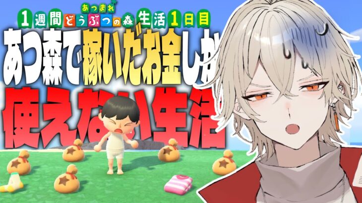 【あつ森】1週間あつ森で稼いだ金額しか使えない生活～1日目～【新人vtuber / 弐十】