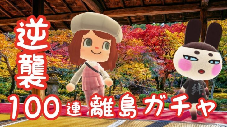 【あつ森】離島ガチャ！和風島にぴったりな住民を探すライブ配信🍂【あつまれ どうぶつの森】#12