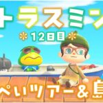 【あつ森】かっぺいツアーやパニーの島発展！飛行場～おうち周り島クリ！シトラスミン島＊12日目＊【生放送】