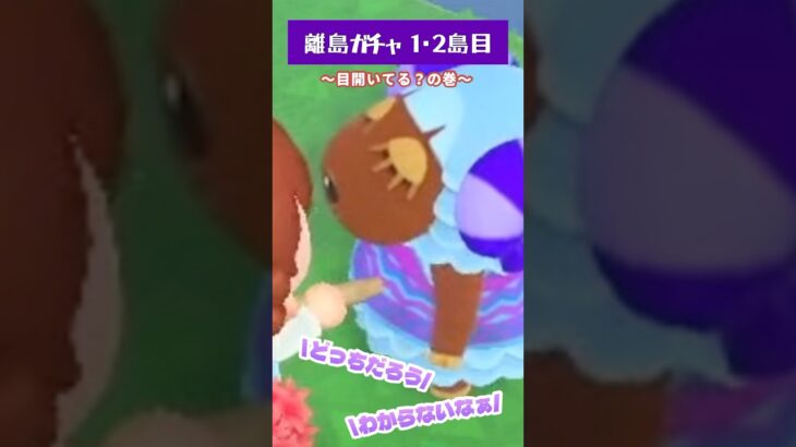 🌴【あつ森】離島ガチャ1・2島目☆～目開いてる？～🐑