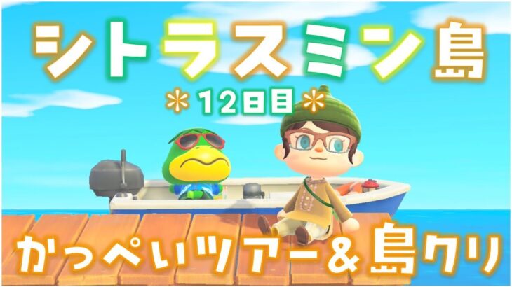 【あつ森】かっぺいツアーやパニーの島発展！飛行場～おうち周り島クリ！シトラスミン島＊12日目＊【生放送】