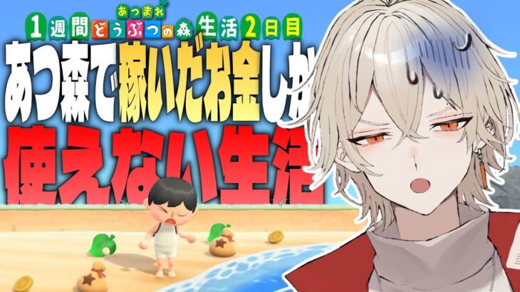 【あつ森】1週間あつ森で稼いだ金額しか使えない生活～2日目～【新人vtuber / 弐十】